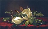 Martin Johnson Heade Canvas Paintings - Magnoliae Grandiflorae